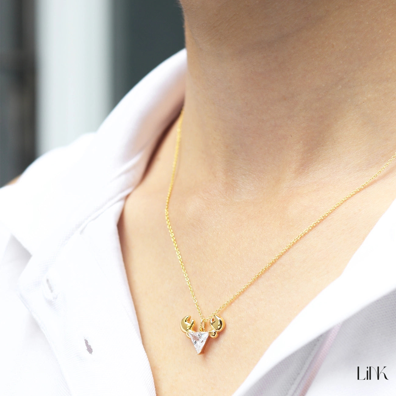 Colar Link Signo Caranguejo